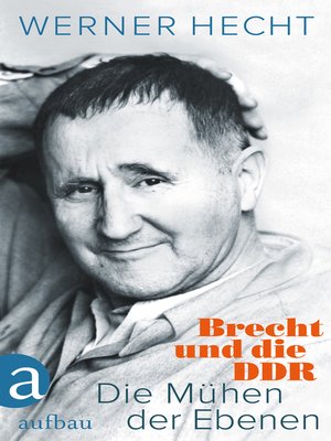 cover image of Die Mühen der Ebenen